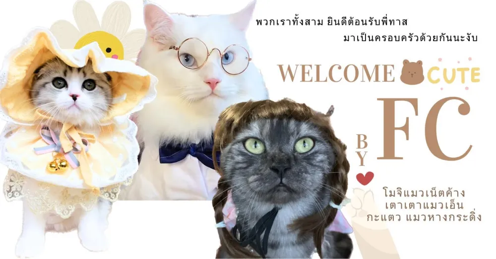 ภาพรวมครอบครัวแมวสามตัวจากเพจ Facebook พร้อมชื่อ โมจิ เตาเตา และกะแตว