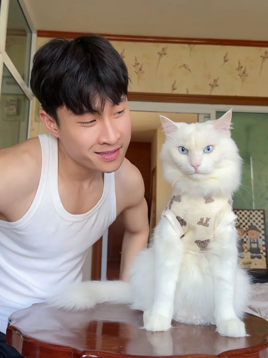 โมจิโร่ใส่เสื้อไหมพรม นั่งอยู่ข้างเจ้าของบนโต๊ะไม้